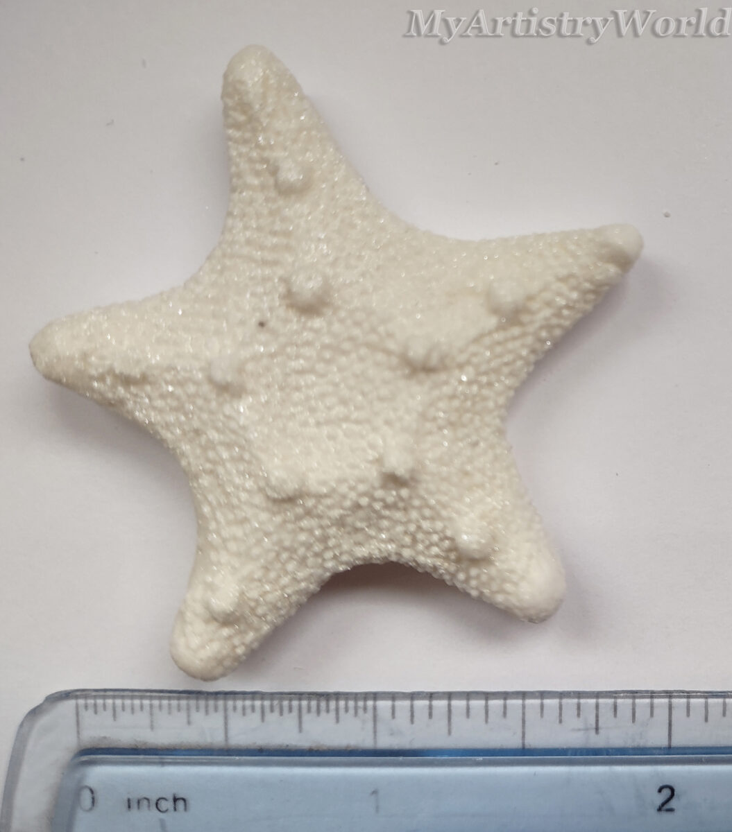 Edible seashell cake toppers with starfish and assorted shell designs