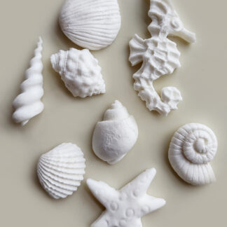 Edible seashell cake toppers, Set of 8